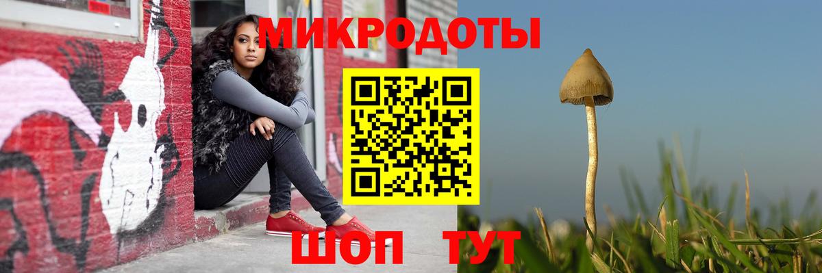 Псилоцибиновые грибы Psilocybine cubensis Богородицк